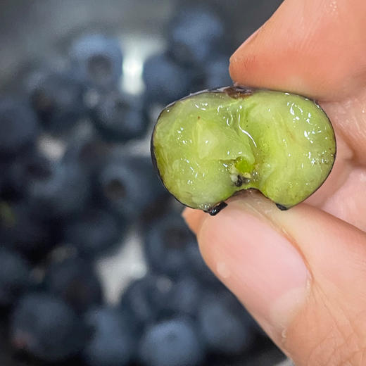 L25蓝莓18+（桶装）1.2kg 商品图2