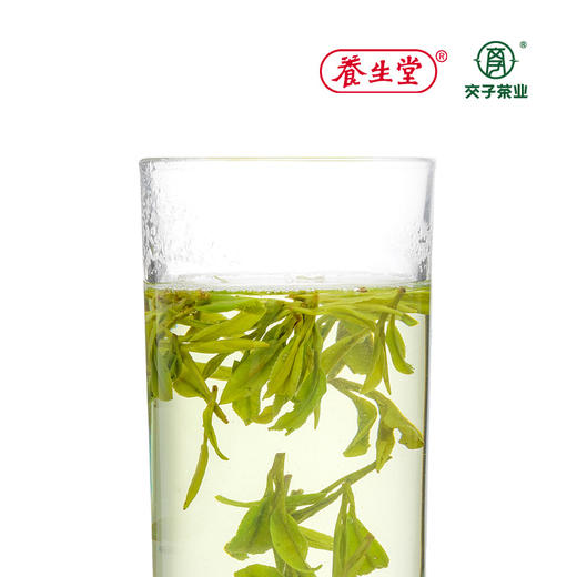 交子西湖龙井茶【250G*1 一级】纸袋装 商品图4