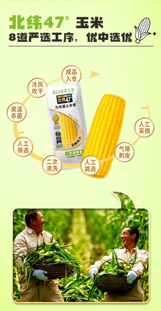 北纬47度低GI水果玉米220g*8支装（开袋即食）  JCT 商品图3