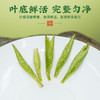 【新茶】茶叶 龙井 绿茶 2026春茶 明前龙井新茶 初春罐 茶饮 五虎 200g 商品缩略图3
