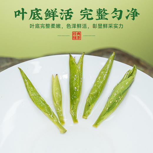 【新茶】茶叶 龙井 绿茶 2026春茶 明前龙井新茶 初春罐 茶饮 五虎 200g 商品图3