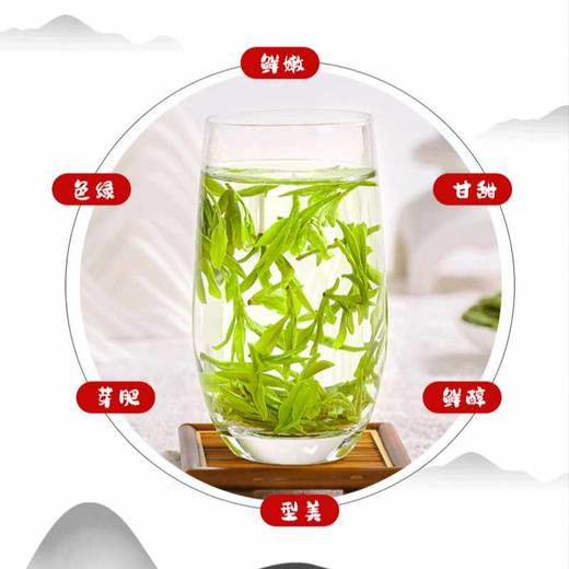【产地直采】老侯爷 正宗明前特级西湖龙井茶 50g铁罐装/100g手工包 2026新茶 西湖产区 商品图4