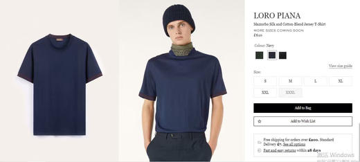 【3月20日 周末秒杀 直接调价 下单即可】Loro Piana  LP男士丝光棉 圆领 短袖 T恤（三色合集） 商品图0