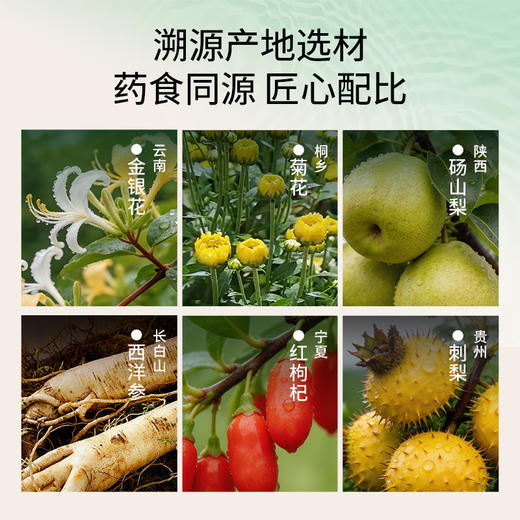 纯耕1.8L（60袋）量贩装金银花西洋参饮；金银花、菊花、雪梨，刺梨、枸杞、西洋参，怕上火喝；清凉爽口，凉茶饮料，植萃清凉 商品图3