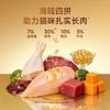 【鱼油多肉成猫粮】50%肉含量 海陆双拼 四种肉 双重益生元助力呵护肠胃提免疫  金枪鱼+进口鱼油 6种果蔬 助力滋养毛发 商品缩略图3