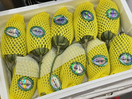 西施脆蜜甜瓜（散称13.8/斤 称重补差） 商品图0