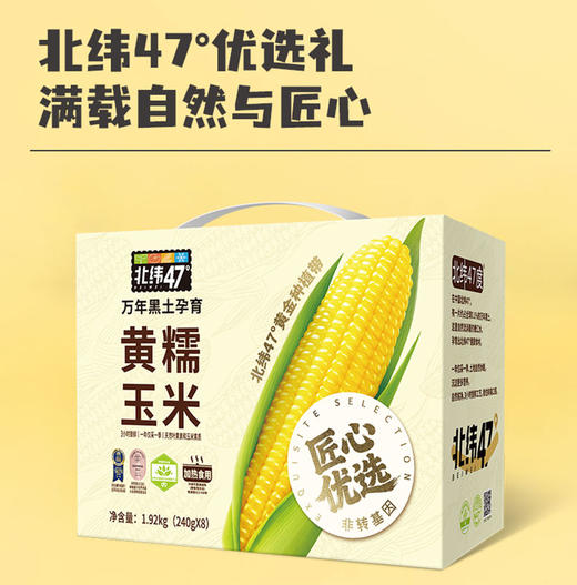 北纬47度黄糯玉米240g*8支装  JCT 商品图0