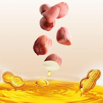 力源【保真花生油】压榨一级花生油4L 浓香型食用油家庭装 物理压榨 /粮油调味 /食用油 /花生油 商品图0