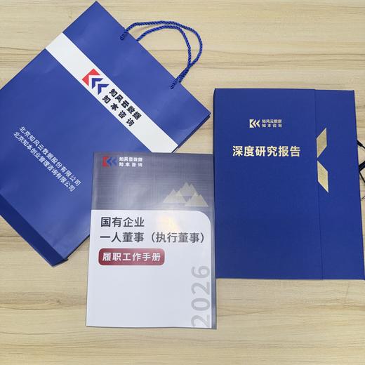 国有企业一人董事（执行董事）履职工作手册 商品图2