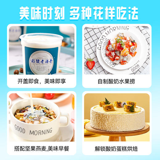 【顺丰包邮】光明&小西牛 青海特色老酸奶益生菌风味发酵乳低温桶装酸奶370g*3桶/6桶 商品图14