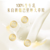 喆百益新疆纯牛奶盒装优质全脂原生牛乳206g*16盒 商品缩略图3
