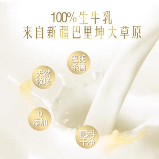 喆百益新疆纯牛奶盒装优质全脂原生牛乳206g*16盒 商品图3