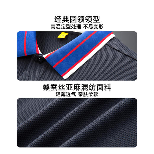 【DG】大依优型大码男装夏季撞色织条翻领POLO衫短袖商务休闲棉质T恤300 商品图3