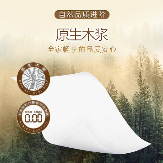 【官方自营】清风原木金装4层134克12卷无芯卷卫生纸 商品图4