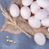 圣迪乐谷物蛋15枚750g 商品缩略图8