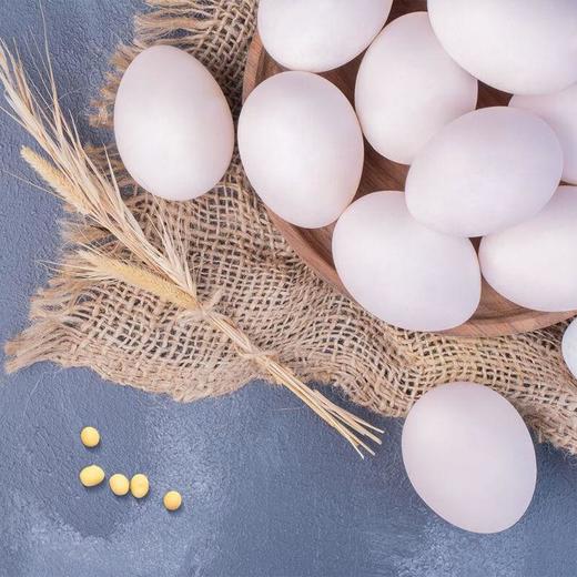 圣迪乐谷物蛋15枚750g 商品图8