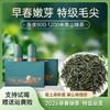 特级蒙山毛尖 马上有钱礼盒 商品缩略图0