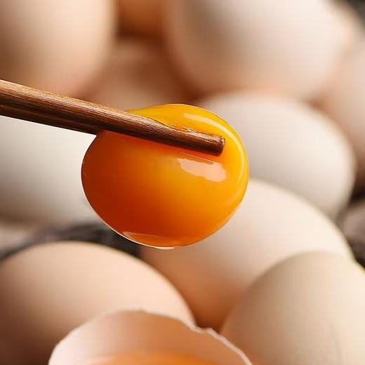 【3箱 送 2瓶酱油】长白山原始森林散养笨鸡蛋 一箱50个 商品图0