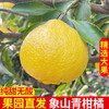 象山青桔柚 商品缩略图4