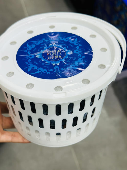 花香脆蓝莓（净重400克） 商品图2