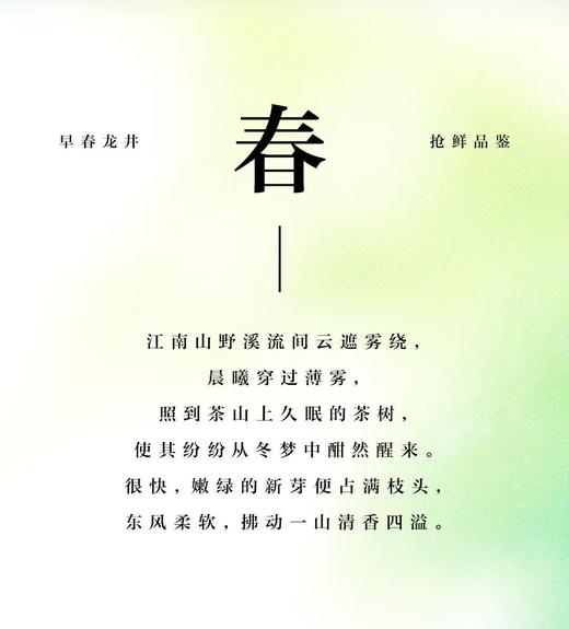 中茶龙冠龙井|2025龙冠龙井，龙井之冠，龙（隆）重上市啦~ 这个春天从一杯龙冠龙井开始 ~ 商品图11