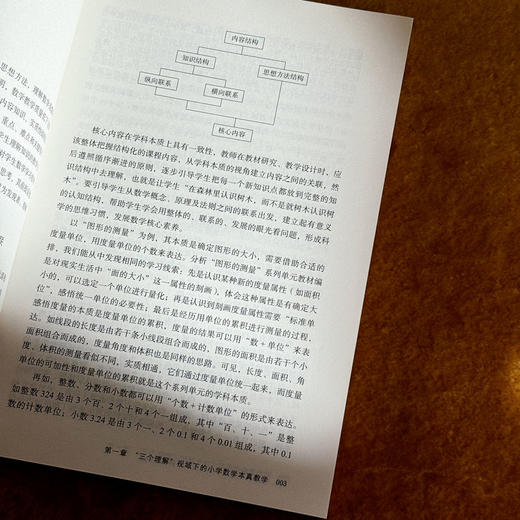 数学何以育人 从课堂深耕到课程创生 大夏书系 数学教学培训用书 特教教师牛献礼 商品图8