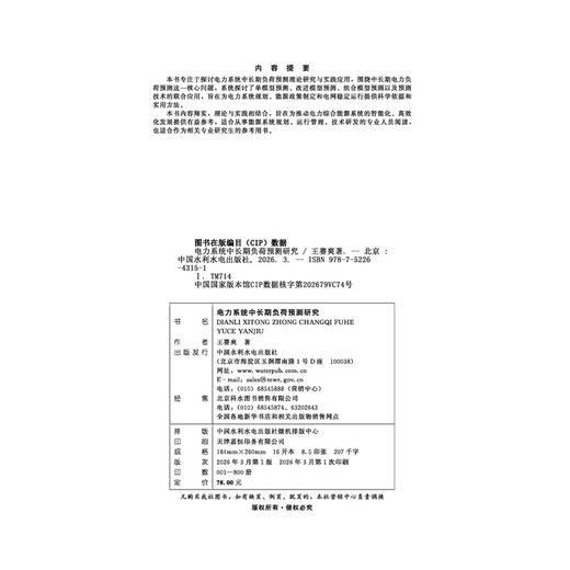 电力系统中长期负荷预测研究 商品图2