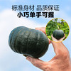 【顺丰发货】蟹黄贝贝南瓜 源头产地  露天种植自然成熟！！粉糯甜兼备香味浓！辅食代餐管理期必备！ 商品缩略图4
