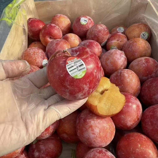 【智利超大樱桃李】原名杏李，品种粉红李到货 果肉香甜（除了皮一丢丢酸没毛病） 肉肉超级厚 水润爆汁，具有一定抗a和增强肌体活力、延H衰L的作用 商品图1