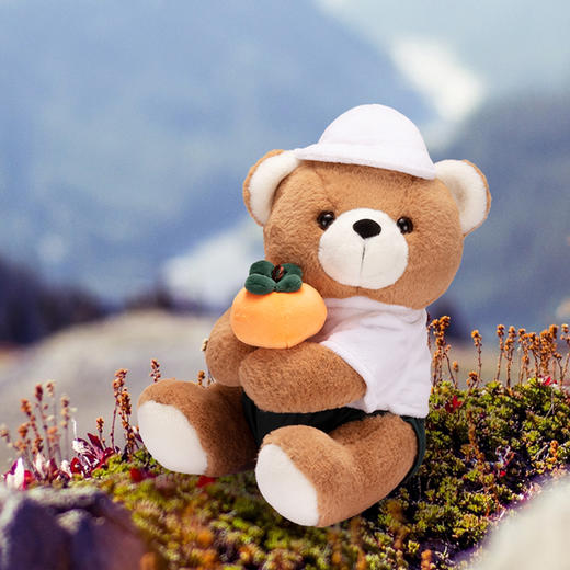 抱抱熊-柿柿如意 商品图0