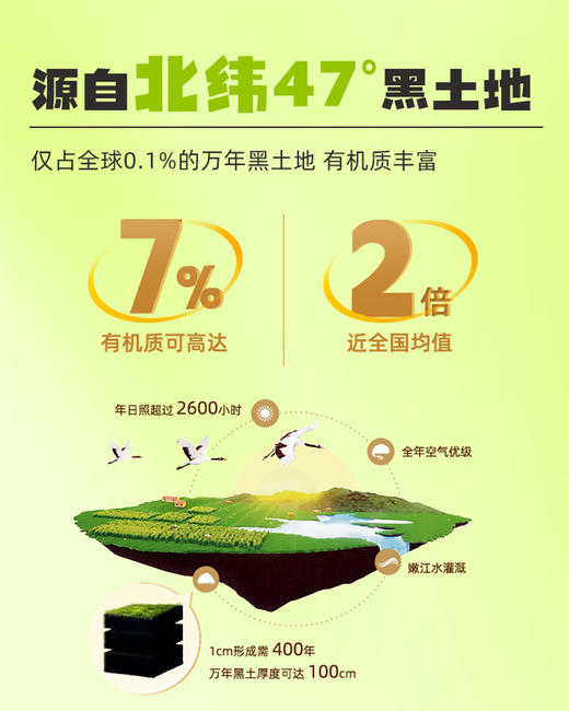 北纬47度低GI水果玉米220g*8支装（开袋即食）  JCT 商品图1