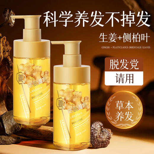 【洁净控油❗蓬松顺滑】生姜防脱固发洗发水控油蓬松何首乌侧柏叶防脱发洗发露批发热销榜。rh 商品图1