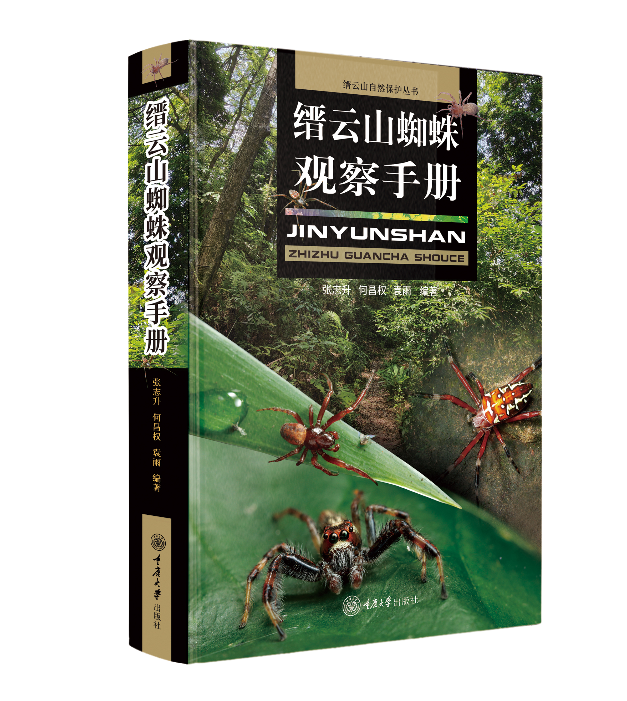 缙云山蜘蛛观察手册