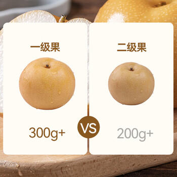 京鲜生 长城羊脂秋月梨 4.5斤装 大果5-7粒 单果300g+ 生鲜水果 商品图6