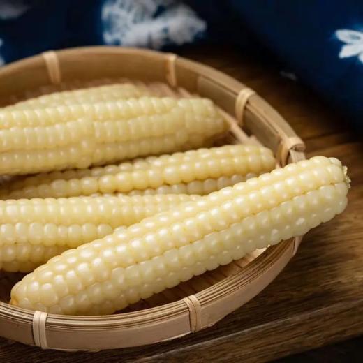【斌哥优选】西双版纳拇指小玉米，非转基因0农残，细嫩可口，甜香可人，减脂期的好搭档低卡碱性食物，小朋友早餐超爱 商品图4