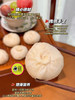 正宗【嵊州老面鲜肉小笼包】 商品缩略图9