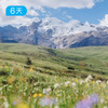 格聂小环线｜季节限定，雪山花海轻徒步 6日 商品缩略图1