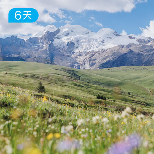 格聂小环线｜季节限定，雪山花海轻徒步 6日 商品图1