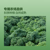 聚便利 X 山姆 轻元素 羽衣甘蓝粉 尝鲜分装（3.5g*10条） 商品缩略图3