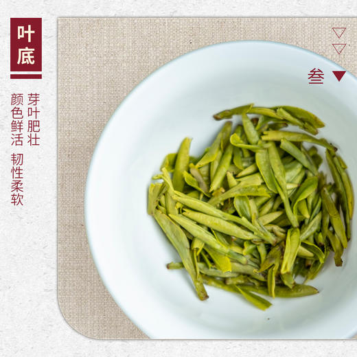 【山纯限品】（2026年绿茶）008龙井茶乌牛早30g 商品图4