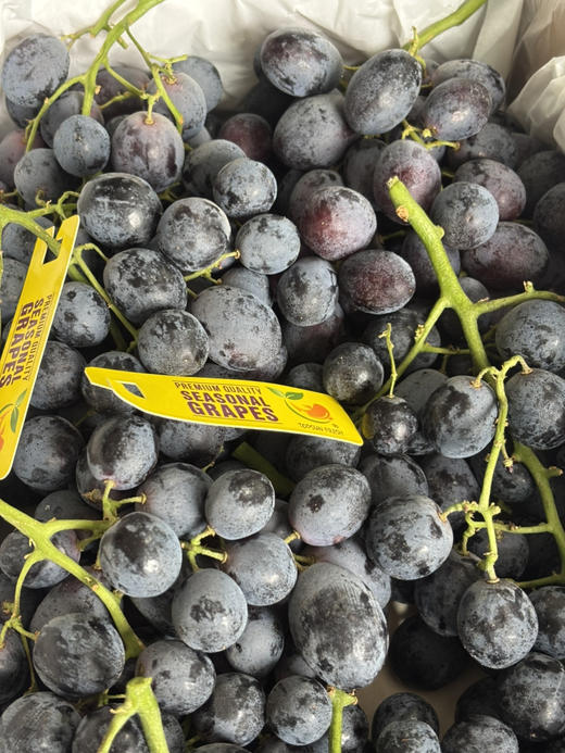 神秘梦境黑提！大颗粒，皮薄肉嫩、汁水丰富，自带果香，非常好吃～ 商品图3