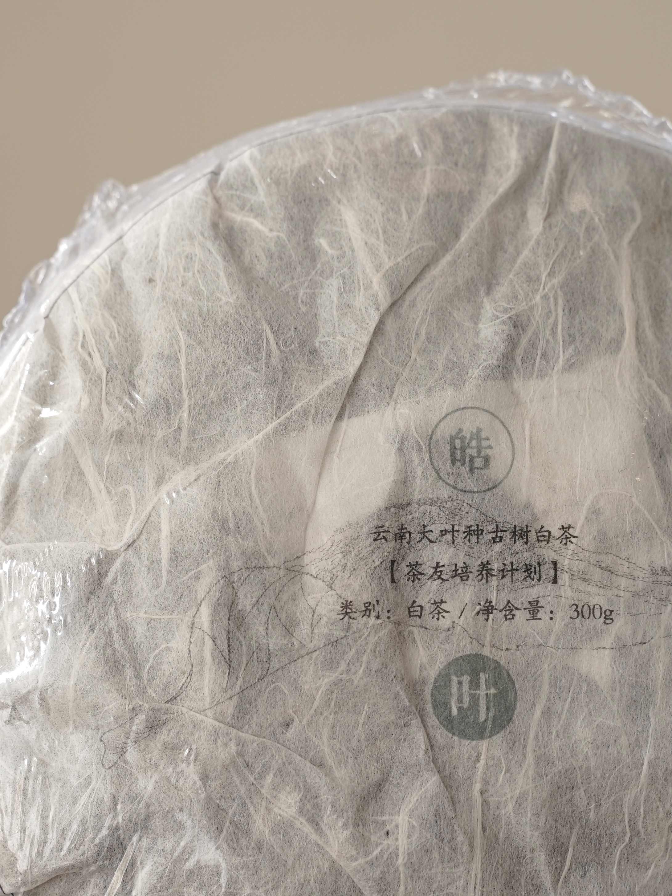 清如许优选｜2018年云南大叶种古树白茶