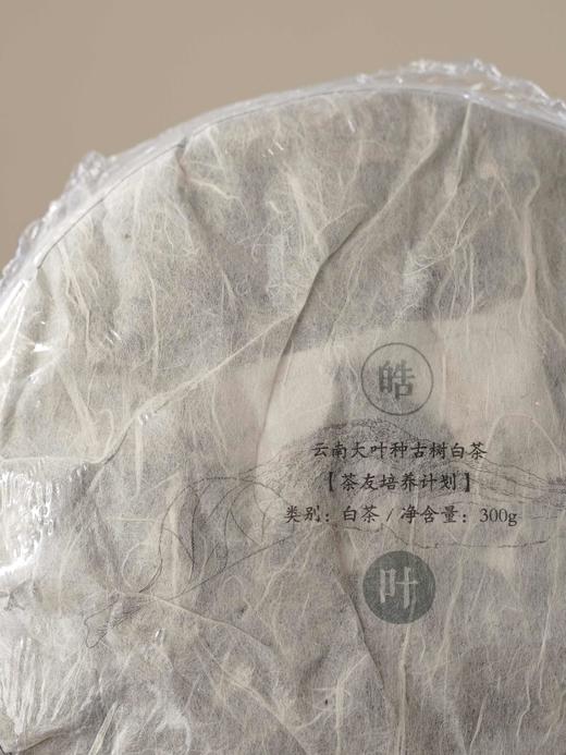 清如许优选｜2018年云南大叶种古树白茶 商品图0