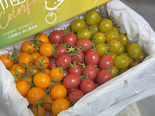 三色番茄礼盒装（毛重2.4斤） 商品图1