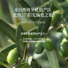 特级初榨橄榄油 | 500ml/瓶 0反式脂肪酸 西班牙进口 拌沙拉热炒生饮 低温冷榨一级 晟麦 商品缩略图2