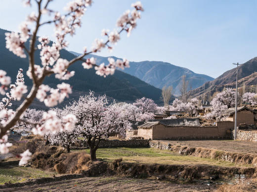 甘肃·陇东南春摄8天：临夏黄河三峡、炳灵寺石窟、官鹅沟、天水麦积山石窟、庄浪梯田、水墨丹霞 商品图1