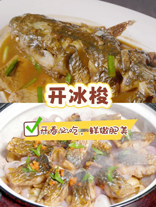 野生海梭鱼，提到烟台的美食，永远绕不开海鲜
老饕们常说“春吃鲜，赛神仙”
等了一个冬天，只为这一口“震撼美味”
鲜嫩肥美的“开冰梭”🐟
你一定要尝尝[害羞R]
3斤/箱，3-4条 商品图1