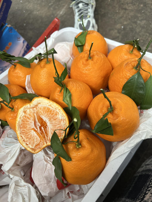 宏丰精选，春见耙耙柑，口感甜，水份多，9.9元2斤 商品图0