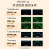 【专柜版】资生堂悦薇乳霜 50ml 商品缩略图2