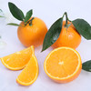 【湖北早春伦晚橙】清甜多汁 商品缩略图0